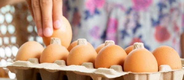 Conservación y almacenamiento de huevo para consumo humano - Image 1