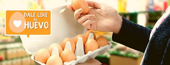 Conservación y almacenamiento de huevo para consumo humano - Image 2