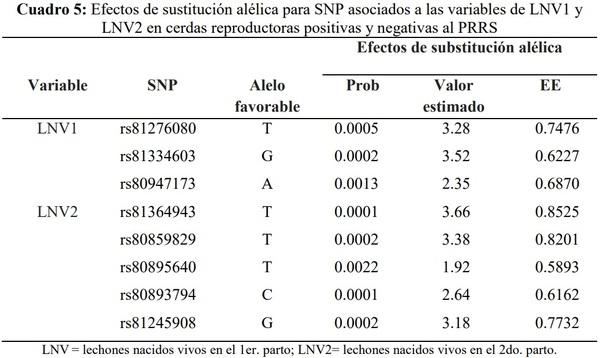 Polimorfismos asociados con el número de lechones nacidos vivos en cerdas infectadas con el virus del PRRS en el sur de Sonora México - Image 7