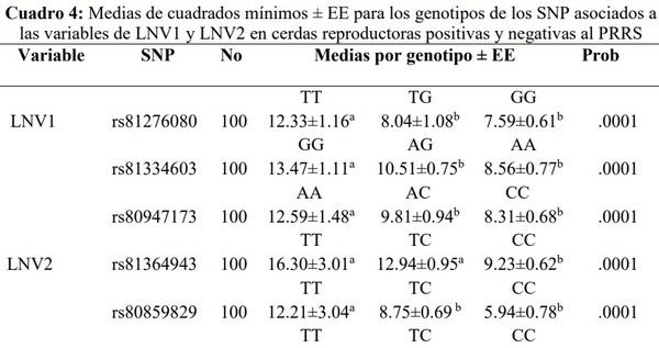 Polimorfismos asociados con el número de lechones nacidos vivos en cerdas infectadas con el virus del PRRS en el sur de Sonora México - Image 5