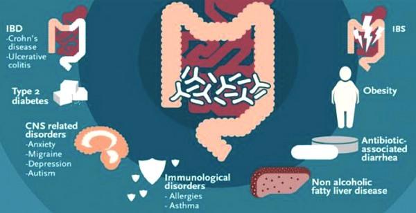 Microbiota y salud intestinal en porcino - Image 2