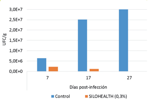 Fig. 2. Recuento de Salmonella typhimurium cecal en pollos de 35 días suplementados con SILOHEALTH (Instituto Zooprofillatico Sperimentale Lombardia).