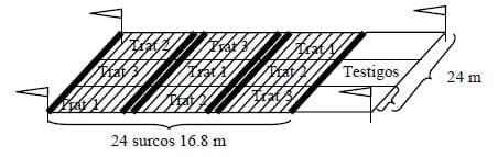 Producción de frutos y Granometría de maní en siembra con distribución homogénea - Image 1