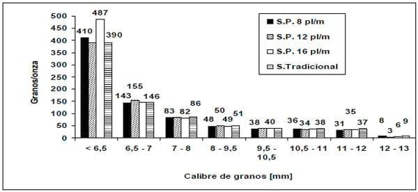 Producción de frutos y Granometría de maní en siembra con distribución homogénea - Image 12