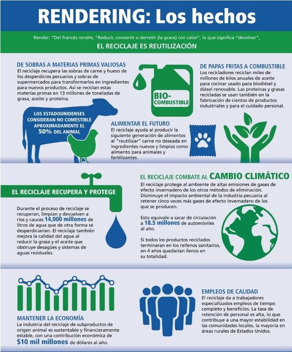 Cómo el reciclaje pecuario apoya a la sustentabilidad y promueve la capacidad del ganado de aportar más que alimentos - Image 6