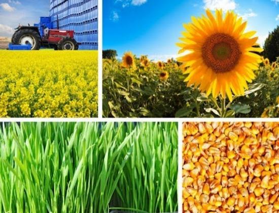 Agroindustria, Laboratorio y Sustentabilidad - Image 3