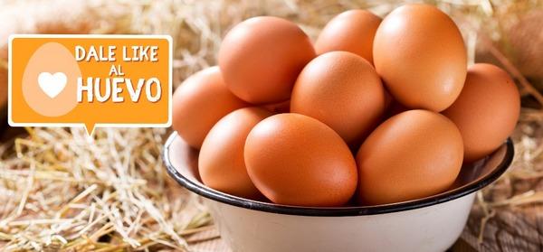 El huevo: potencial alimento reconocido por las Naciones Unidas - Image 1
