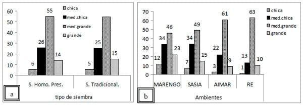 Cantidad y calidad de los frutos logrados en una distribución homogéneamente precisa de semillas de Maní (Arachis Hypogaea L.) - Image 3