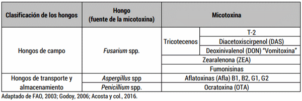 Micotoxicosis en la producción bovina: su profilaxis - Image 1