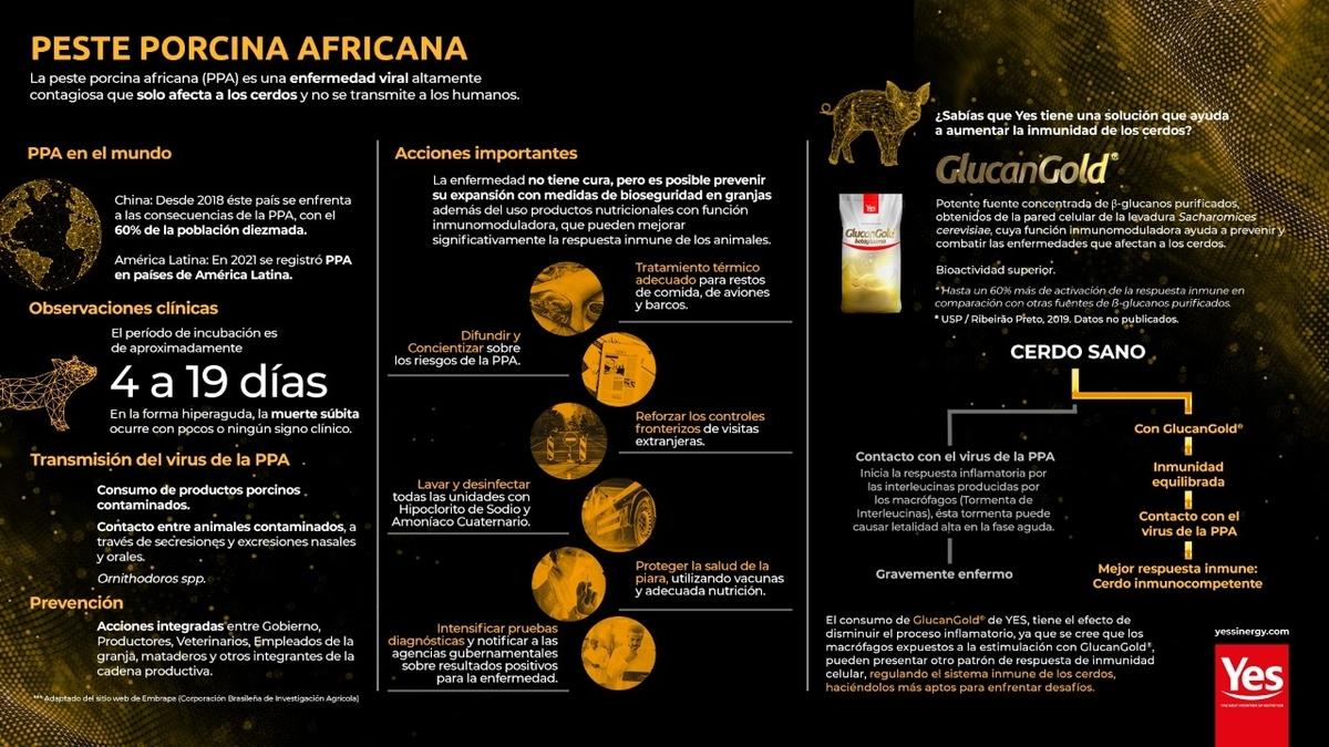 Peste Porcina Africana: el papel de la inmunidad y el fortalecimiento del sistema inmunológico para ayudar a prevenir enfermedades - Image 1