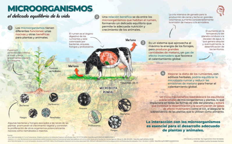 Usos y costumbres de los microorganismos - Image 2