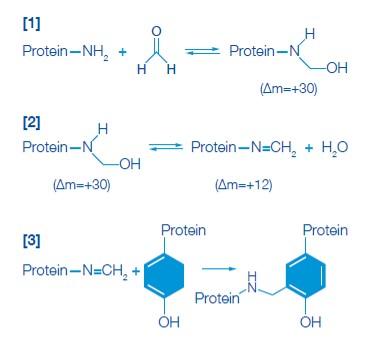 Tratamiento de las materias primas con ácido fórmico o formaldehido, puntos a considerar - Image 1