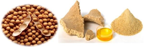 No todos los procesos añaden el mismo valor nutricional a la harina de soya - Image 1