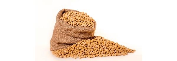 Sacar el máximo partido de la harina de soya con grasa - Image 1