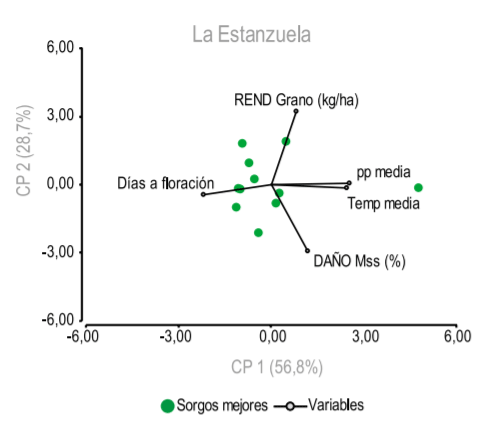Figura 5 - ACP para daño Mss (%), Rend Grano sorgo (kg/ ha), Temp media (°C), pp media (mm) y días a floración (DAF) para los mejores sorgos de LE.