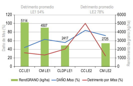 Figura 2 - Relación entre rendimiento de grano (kg/ha), daño de Mss (%) y detrimento en rendimiento de grano (%) para los cinco ensayos de LE. 