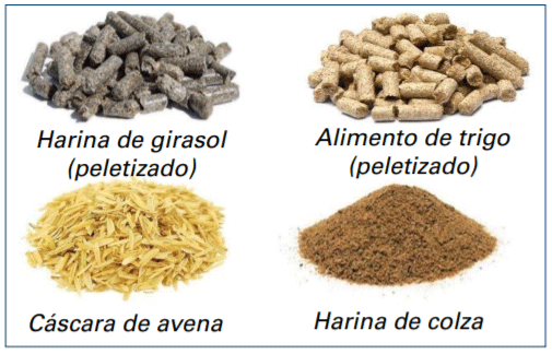 Figura 8. Materias primas que contribuyen a la densidad de fibra de la dieta. Imágenes cortesía de KW Alternative Feeds.