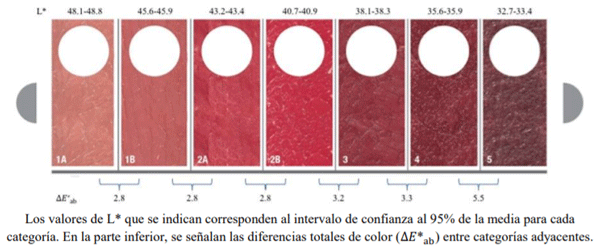 Figura 4: Escala visual para la evaluación del color de la carne de bovino en México