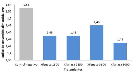 Xilanasa: impacto en el crecimiento y salud intestinal de pollos de engorde - Image 1