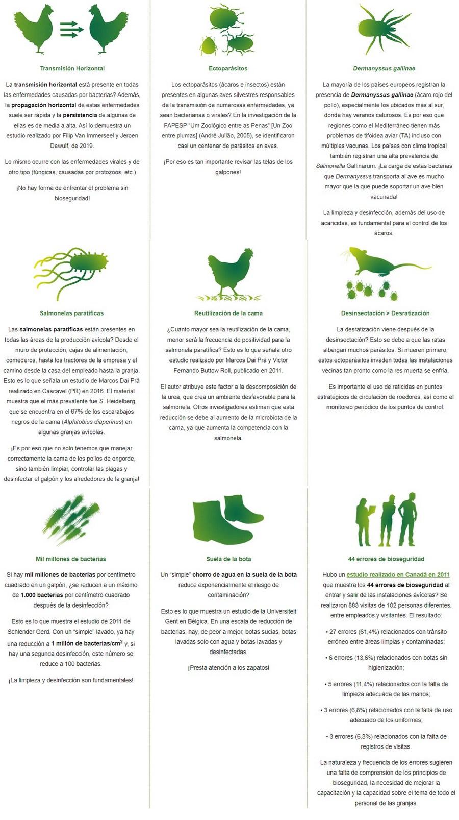 Bioseguridad: relevancia en la producción de pollos de engorde - Image 1