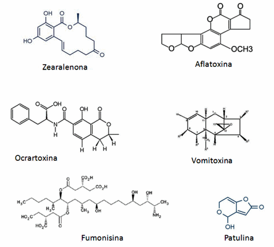 Los adsorbentes de micotoxinas como estrategia de control de micotoxinas en las raciones: tipos, eficacia e interacciones - Image 1