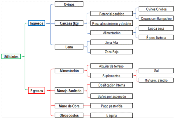 Figura 6 Factores relacionados al aspecto económico del sistema extensivo en la Comunidad Campesina de San Pedro de Pirca.