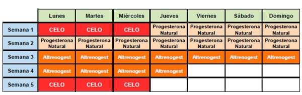 Uso del Altrenogest en la sincronización de hembras nulíparas - Image 9