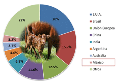 Figura 1. Principales países productores de carne de bovino en el mundo. Fuente: CIMA, 2018. Elaboración propia.