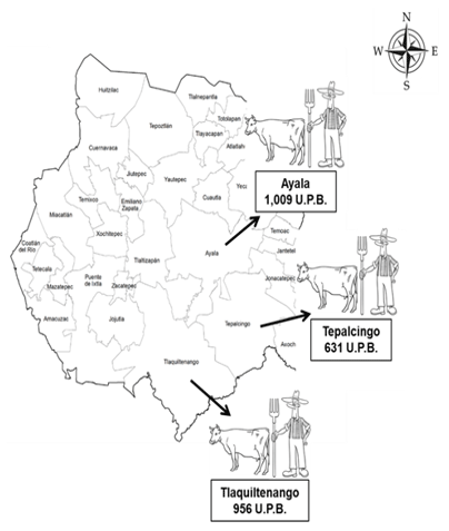 Figura 2. Principales municipios productores de ganado bovino en el estado de Morelos. Fuente: INEGI, 2013. Elaboración propia.