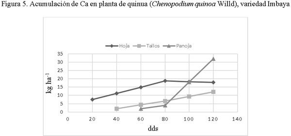 Indice de cosecha con macro-nutrientes en grano de quinua (Chenopodium quinoa Willd). - Image 8