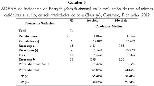 Respuesta de seis cultivares de rosa (Rosa sp.) a tres relaciones catiónicas del suelo. Cayambe, Pichincha - Image 3