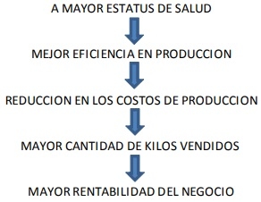 SALUD, MANEJO Y BIOSEGURIDAD INDISPENSABLES EN EL NEGOCIO PORCICOLA - Image 2