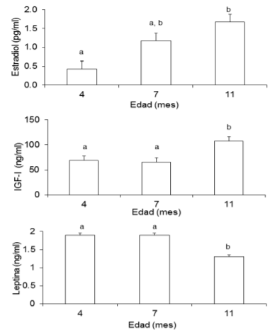 Figura 4. Concentraciones de estradiol, IGF-I y leptina en suero (media + ee) de becerras prepúberes de diferentes edades. Para cada hormona, distintas literales indican diferencia entre medias (a, b P< 0.05