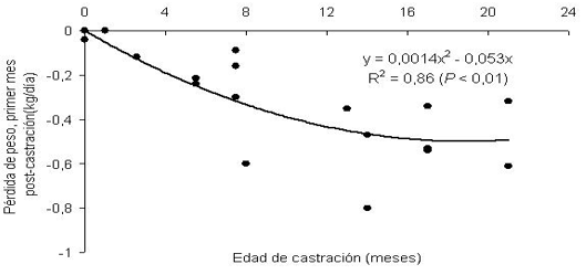 Gráfico 3. Efecto de la edad de castración sobre la pérdida de peso del ganado (kg/día) durante los primeros días posteriores a la castración. Fuente: Bretschneider, G. 2005.