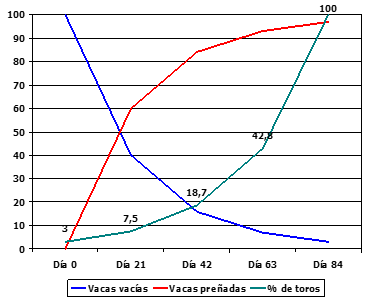 Gráfico 1. Relación: vacas/toros durante el servicio. Fuente: Marcantonio, S., 2007.