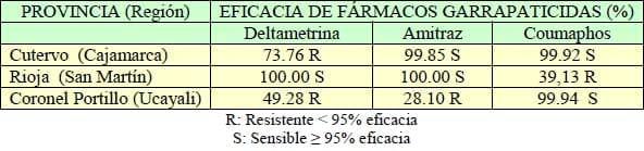 Detección In Vitro de Resistencia de garrapatas Boophilus microplus a deltametrina 12.5%, Amitraz 5% y coumaphos 50% en tres provincias de Perú - Image 1