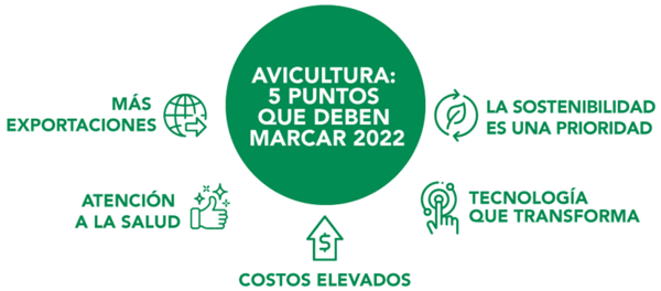 5 puntos que deben marcar la avicultura en 2022 - Image 3
