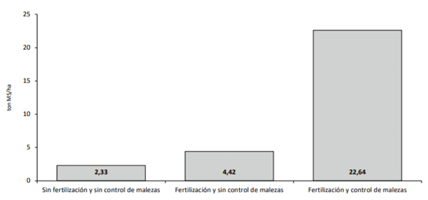 Efecto de la fertilización y el control de malezas en el rendimiento de maíz para ensilaje. Estación Experimental Maquehue. Universidad de La Frontera. Temporada 2019/2020.