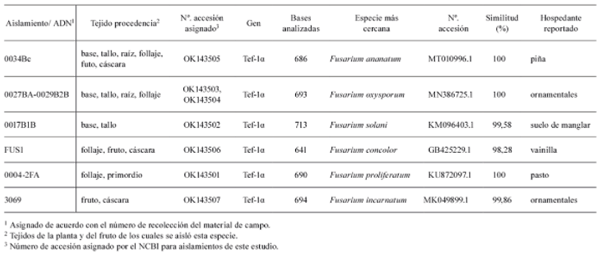 Tabla 2. Aislamientos secuenciados y comparados en NCBI y a los cuales se les asignó un número de accesión como especies ligadas a piña en Costa Rica. Costa Rica 2015-2019.