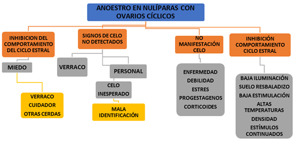 Cuadro 5: Árbol de decisiones en el cual se expone las principales causas de anestro en primerizas.