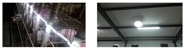 Imagen 1 y 2. Dos sistemas de iluminación