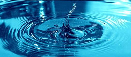 Importancia de una correcta sanitización del agua durante todo el proceso de producción animal - Image 1