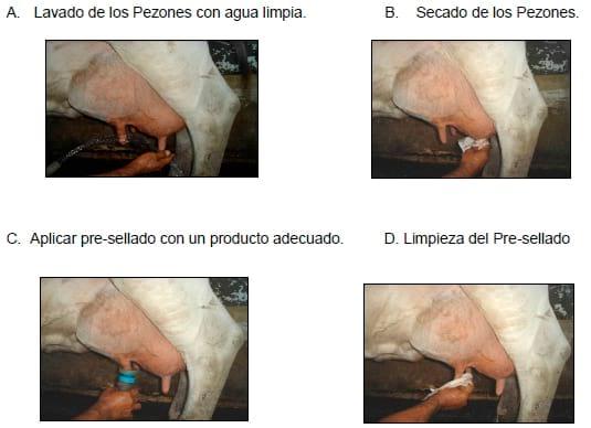 Manual Lechero como producir más y mejor leche con menos costos - Image 4