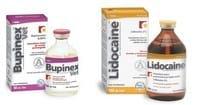 Uso de la Bupivacaína en Medicina Veterinaria: Informe Técnico Bupinex Vet - Image 1