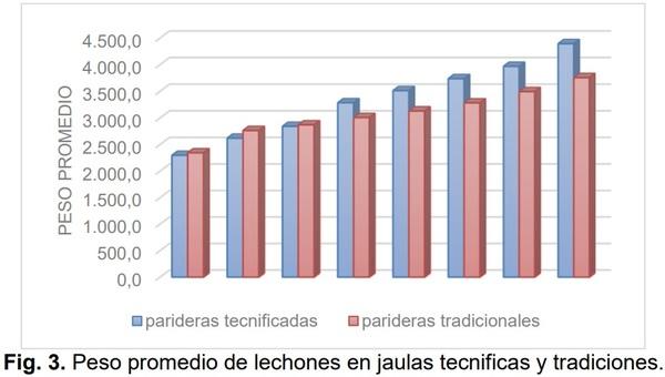 Evaluación del aumento de peso en lechones durante la lactancia en parideras tecnificadas y tradicionales - Image 4