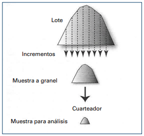 Figura 4: Muestra para análisis* (42).