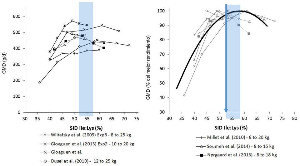 Dietas bajas en proteína y necesidades de isoleucina en lechones - Image 1