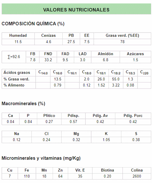Granos y solubles de maíz (DDGS) 7,5% EE - 6,8% Almidón - Image 1
