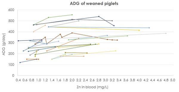 ZnO en dietas para lechones: revisión de la literatura sobre las correlaciones entre la concentración de Zn en sangre y la ADG - Image 5