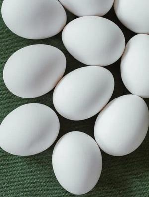 Producción de huevos global: principales tendencias del consumidor y papel que desempeña la nutrición - Image 1